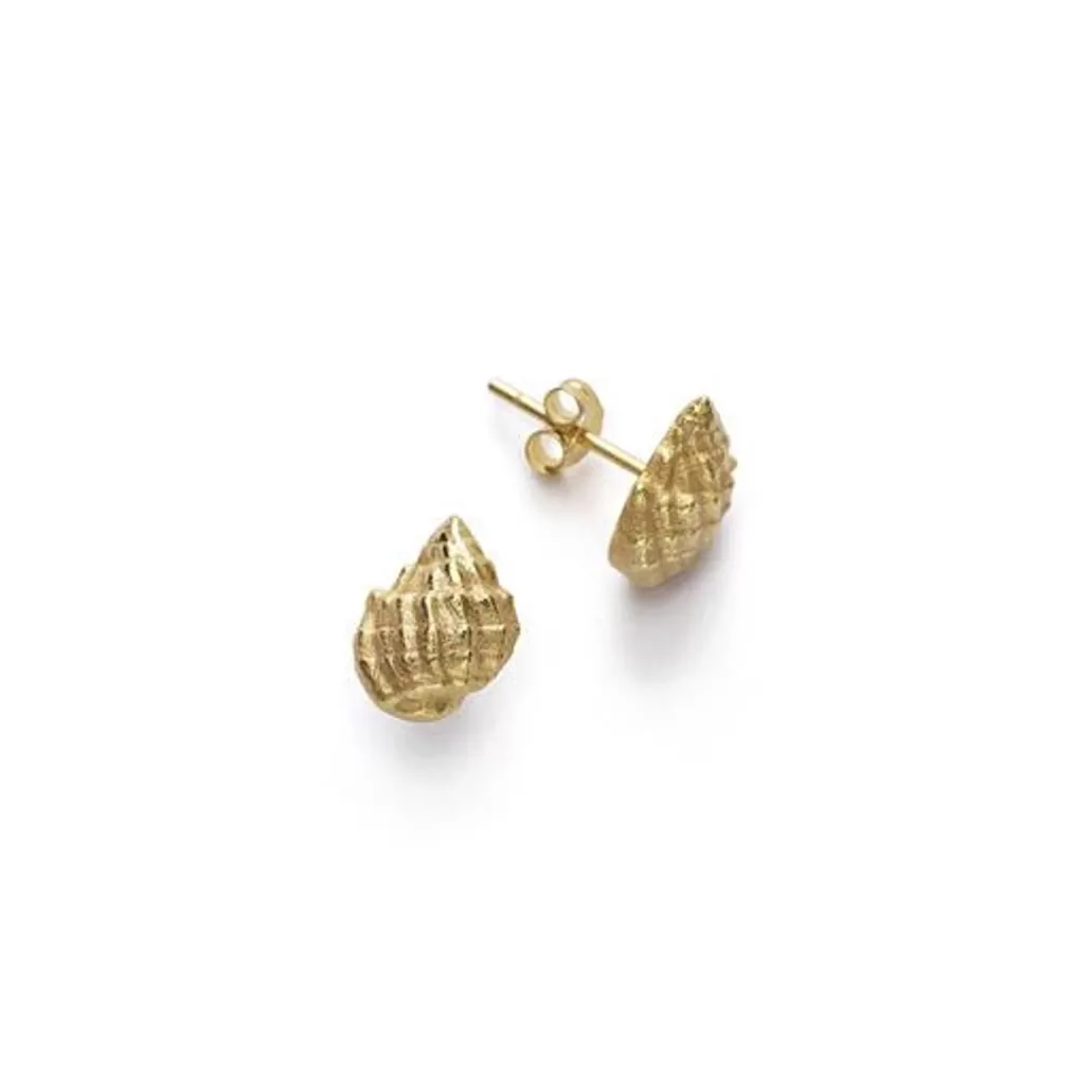 Store ANNI LU - Conch Shell Earrings (Pair) - Gold