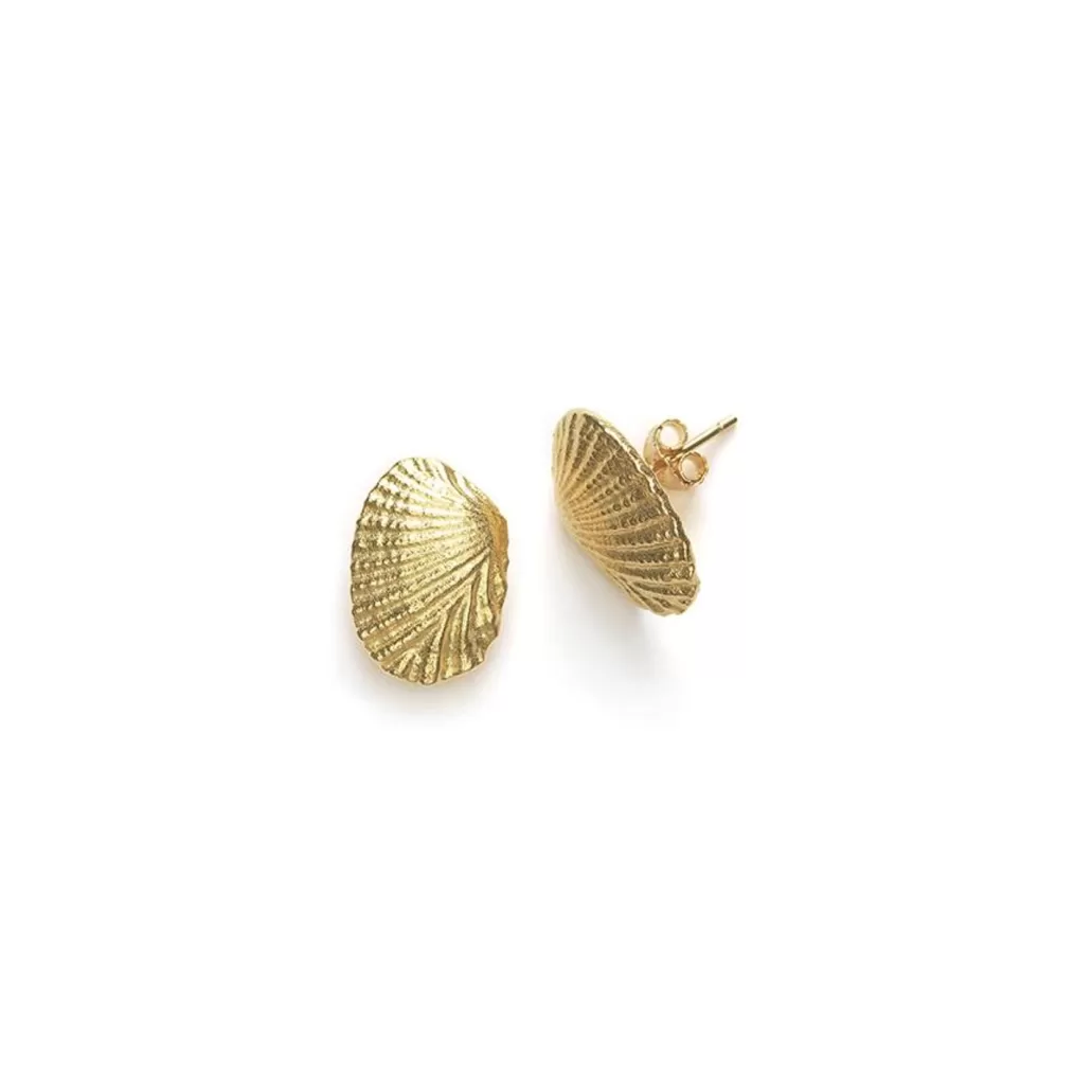 New ANNI LU - Shell Earrings (Pair) - Gold